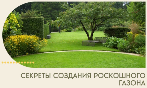 Секреты создания роскошного газона в Угличе
