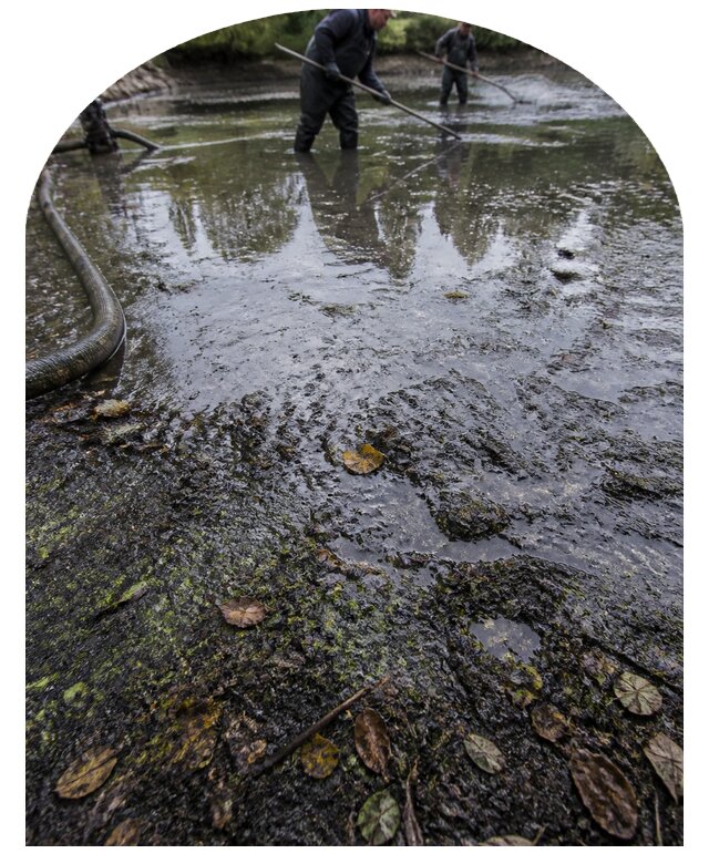 Очистка пруда в Угличе от ила мусора и водорослей с вывозом